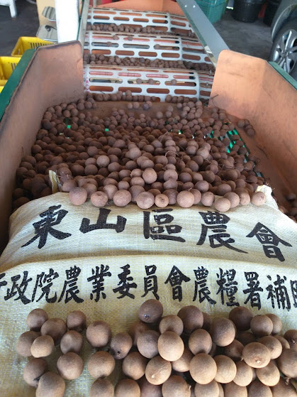 東山龍眼乾(帶殼)600g